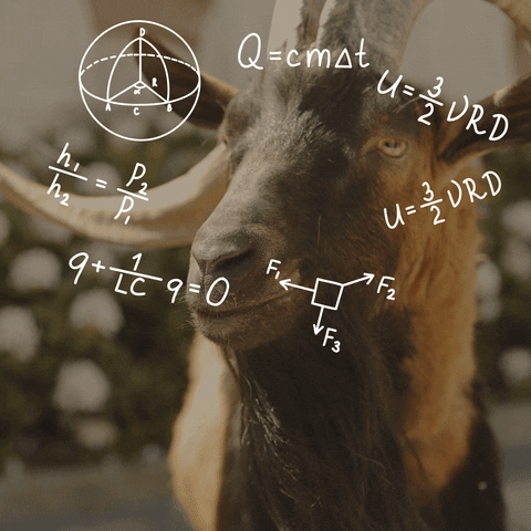 A goat thinking